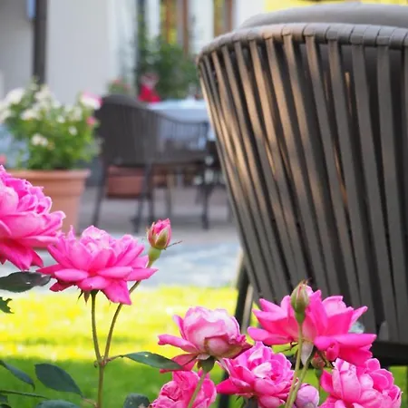 Boutique Martha Hotel 3*