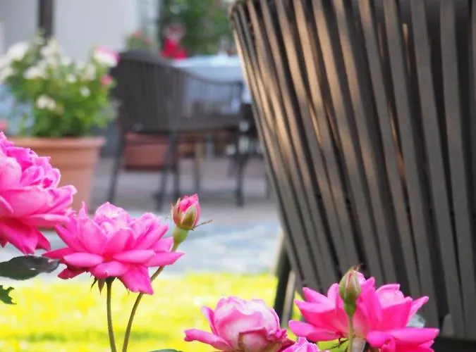 Boutique Martha Hotel 3*